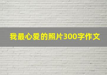 我最心爱的照片300字作文