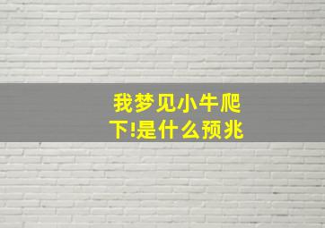 我梦见小牛爬下!是什么预兆