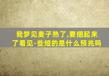 我梦见麦子熟了,要捆起来了看见-些短的是什么预兆吗