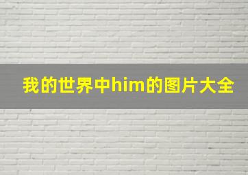 我的世界中him的图片大全