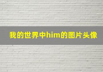 我的世界中him的图片头像