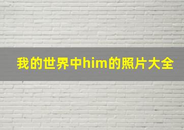 我的世界中him的照片大全