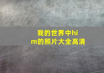 我的世界中him的照片大全高清