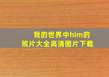 我的世界中him的照片大全高清图片下载