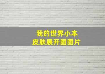 我的世界小本皮肤展开图图片