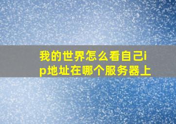 我的世界怎么看自己ip地址在哪个服务器上