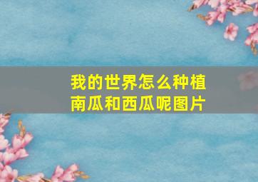 我的世界怎么种植南瓜和西瓜呢图片