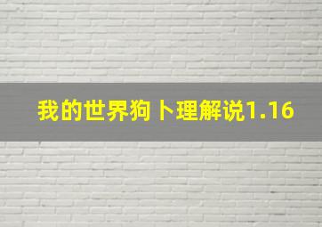 我的世界狗卜理解说1.16