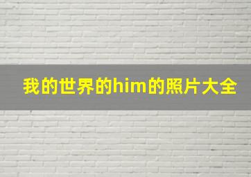 我的世界的him的照片大全