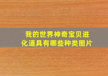 我的世界神奇宝贝进化道具有哪些种类图片