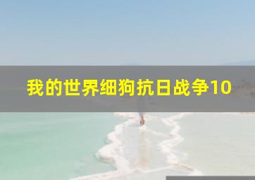 我的世界细狗抗日战争10