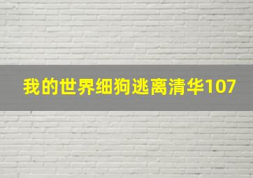 我的世界细狗逃离清华107