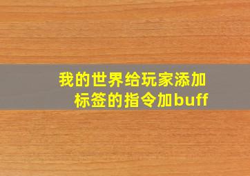 我的世界给玩家添加标签的指令加buff