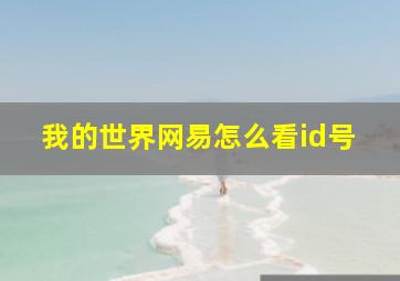 我的世界网易怎么看id号