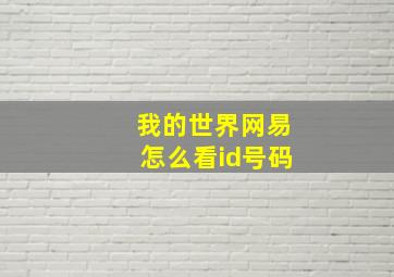 我的世界网易怎么看id号码