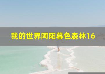 我的世界阿阳暮色森林16