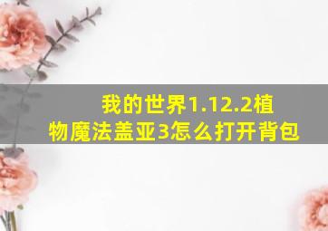 我的世界1.12.2植物魔法盖亚3怎么打开背包