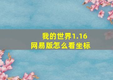 我的世界1.16网易版怎么看坐标