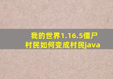 我的世界1.16.5僵尸村民如何变成村民java