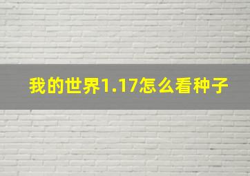 我的世界1.17怎么看种子