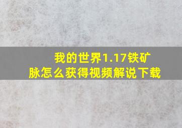 我的世界1.17铁矿脉怎么获得视频解说下载