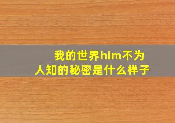 我的世界him不为人知的秘密是什么样子