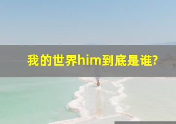 我的世界him到底是谁?