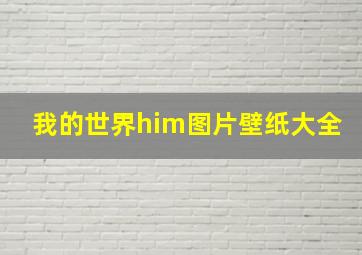 我的世界him图片壁纸大全