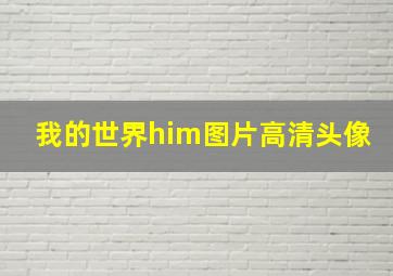 我的世界him图片高清头像