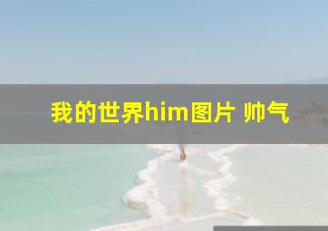 我的世界him图片 帅气