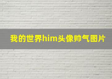 我的世界him头像帅气图片