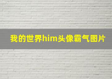 我的世界him头像霸气图片