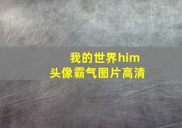 我的世界him头像霸气图片高清