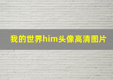 我的世界him头像高清图片