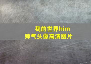 我的世界him帅气头像高清图片