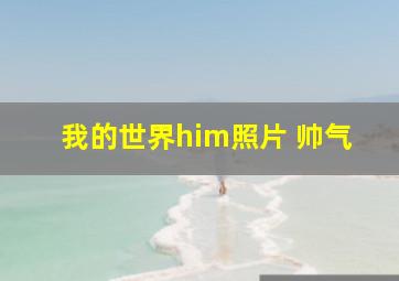 我的世界him照片 帅气