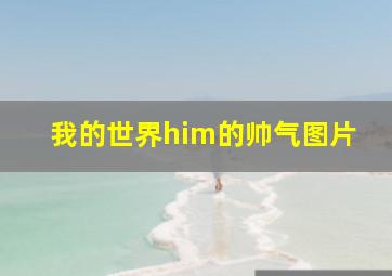 我的世界him的帅气图片