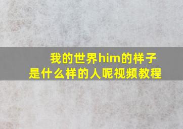 我的世界him的样子是什么样的人呢视频教程