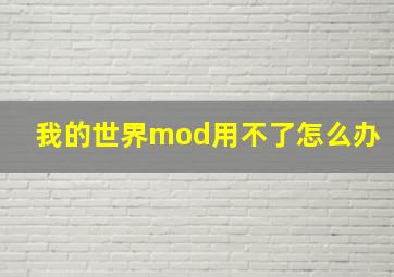 我的世界mod用不了怎么办