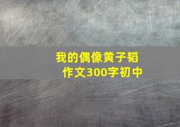 我的偶像黄子韬作文300字初中