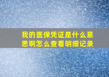 我的医保凭证是什么意思啊怎么查看明细记录