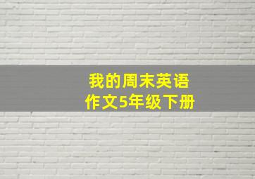 我的周末英语作文5年级下册