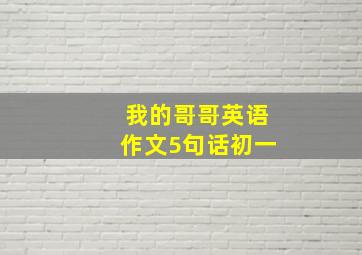 我的哥哥英语作文5句话初一