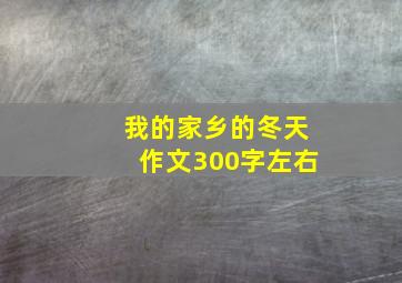 我的家乡的冬天作文300字左右