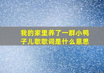 我的家里养了一群小鸭子儿歌歌词是什么意思