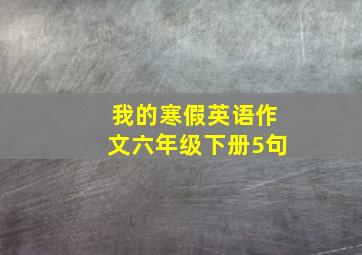 我的寒假英语作文六年级下册5句