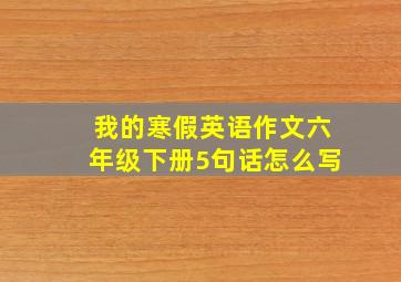 我的寒假英语作文六年级下册5句话怎么写