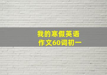 我的寒假英语作文60词初一