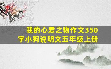 我的心爱之物作文350字小狗说明文五年级上册