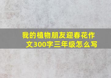 我的植物朋友迎春花作文300字三年级怎么写